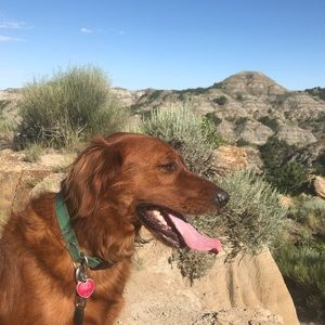 Meet your Posher, Ryan